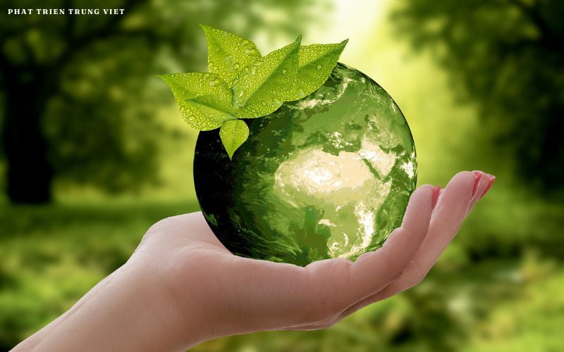 Thẩm định môi trường (Environmental Due Diligence)